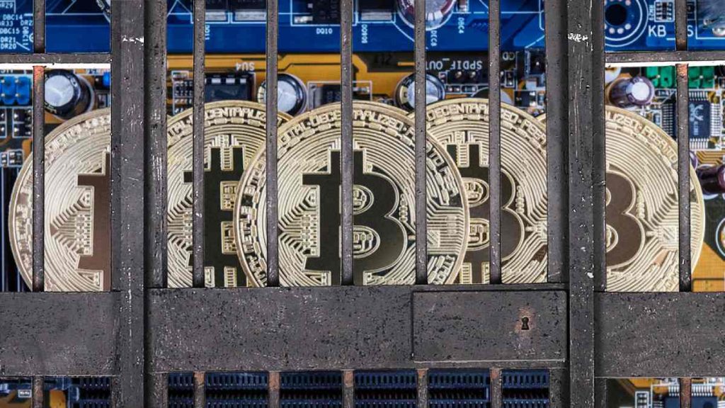 Майнинг биткоин тюрьма bitcoin