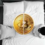 развод делить биткоин