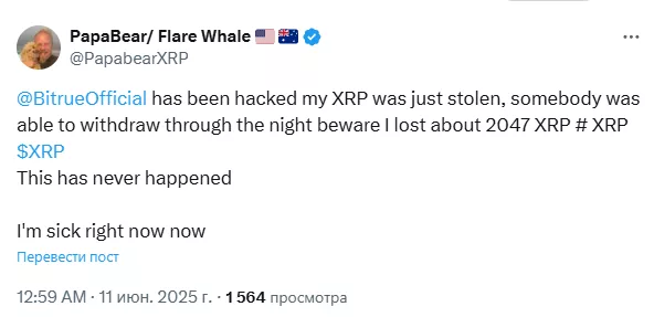 PapaBear/ Flare Whale 