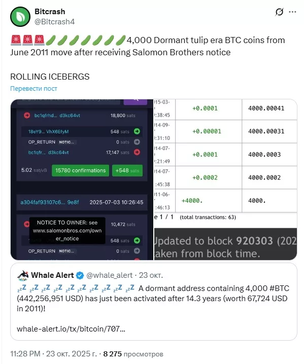 4,000 Dormant tulip era BTC coins