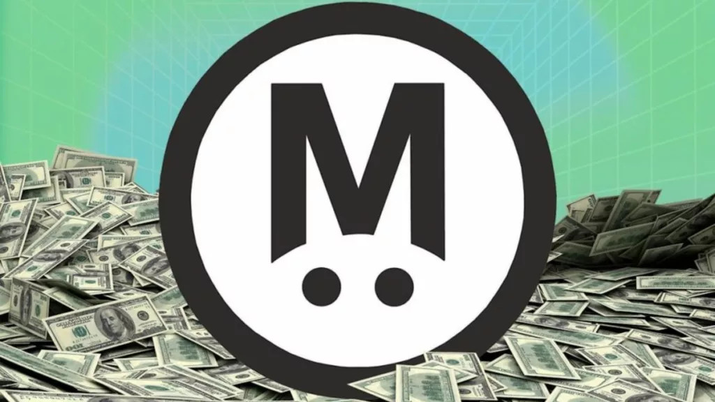 investor-left-without-megaeth-tokens