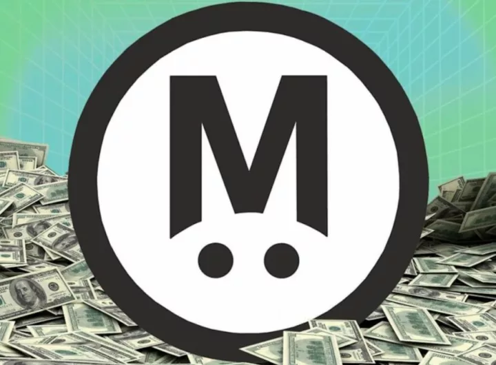 investor-left-without-megaeth-tokens