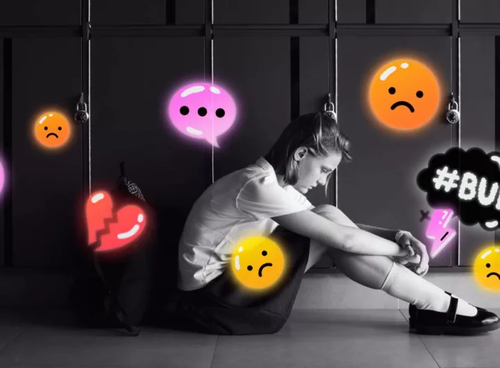 критика буллинг