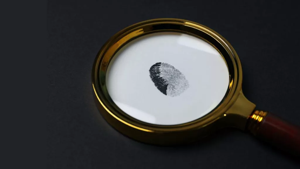 детектив поиск лупа