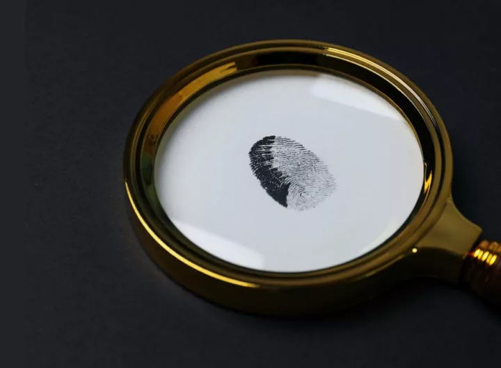 детектив поиск лупа