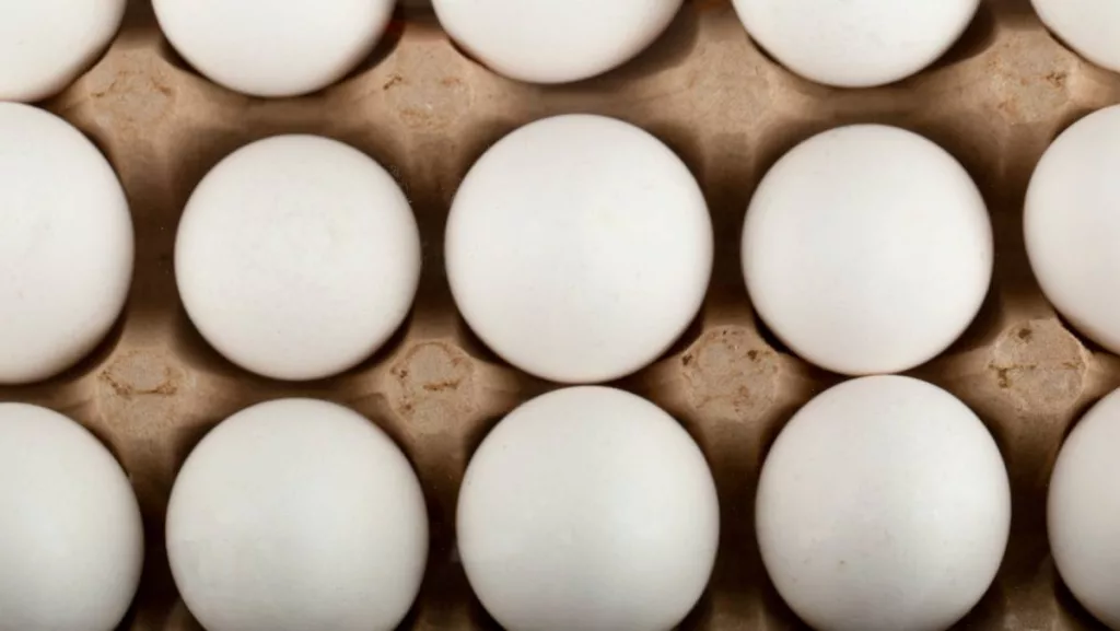 Justin Sun is suing a movie actress for not giving him her eggs