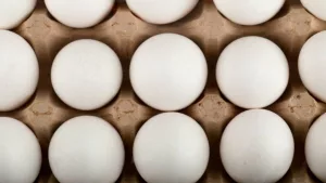 Justin Sun is suing a movie actress for not giving him her eggs