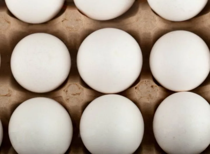 Justin Sun is suing a movie actress for not giving him her eggs
